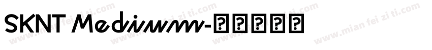 SKNT Medium字体转换